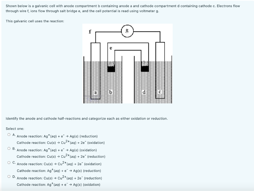 Solved Shown below is a galvanic cell with anode compartment | Chegg.com