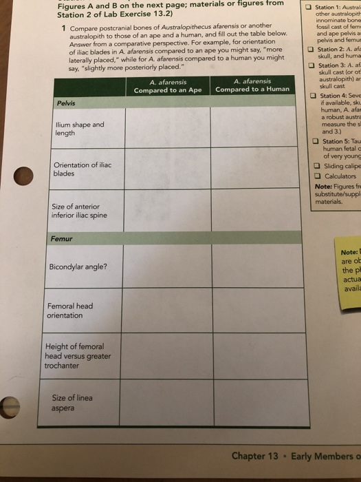 Solved from Figures A and B on the next page; materials or | Chegg.com