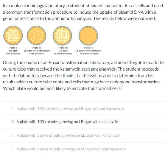 Solved A student has which antibiotic plasmid she
