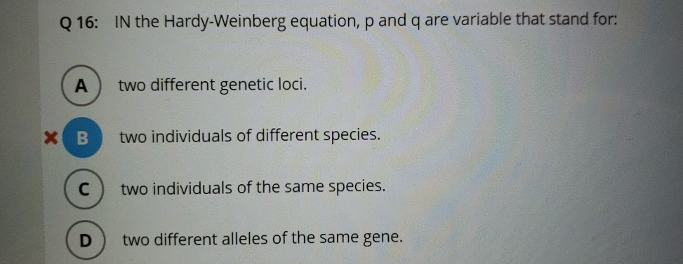 solved-q-16-in-the-hardy-weinberg-equation-p-and-q-are-chegg