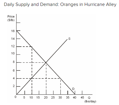 Solved The price of $4.00 per pound will lead to a(n) _____ | Chegg.com