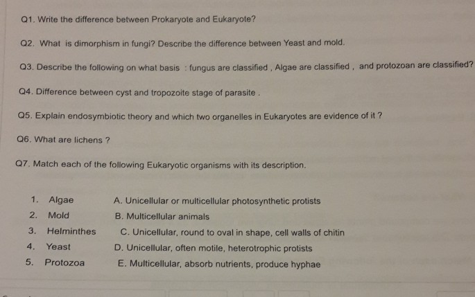 Solved 01. Write the difference between Prokaryote and | Chegg.com