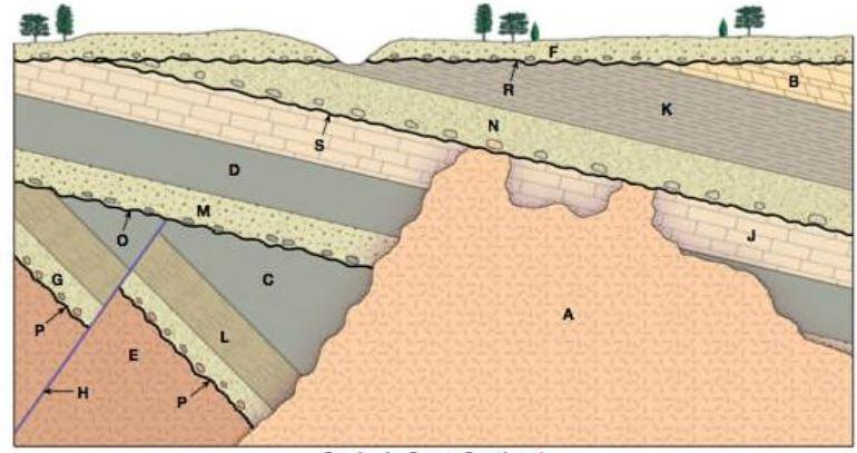 Solved The Diagram Below (Geologic Cross Section 1) Shows | Chegg.com