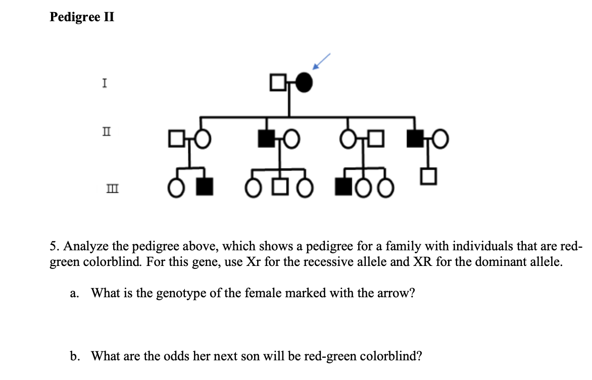 Solved 5. Analyze the pedigree above, which shows a pedigree | Chegg.com