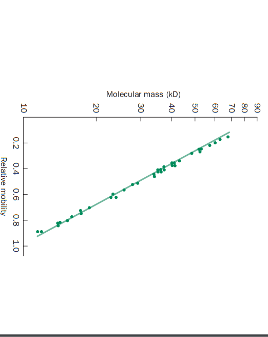 15. What is the molecular mass of a protein that has | Chegg.com