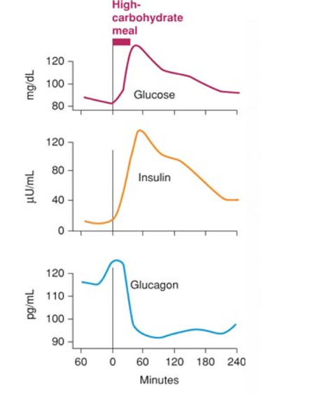 Solved .Answer questions 1-3 below using this graphic. The | Chegg.com