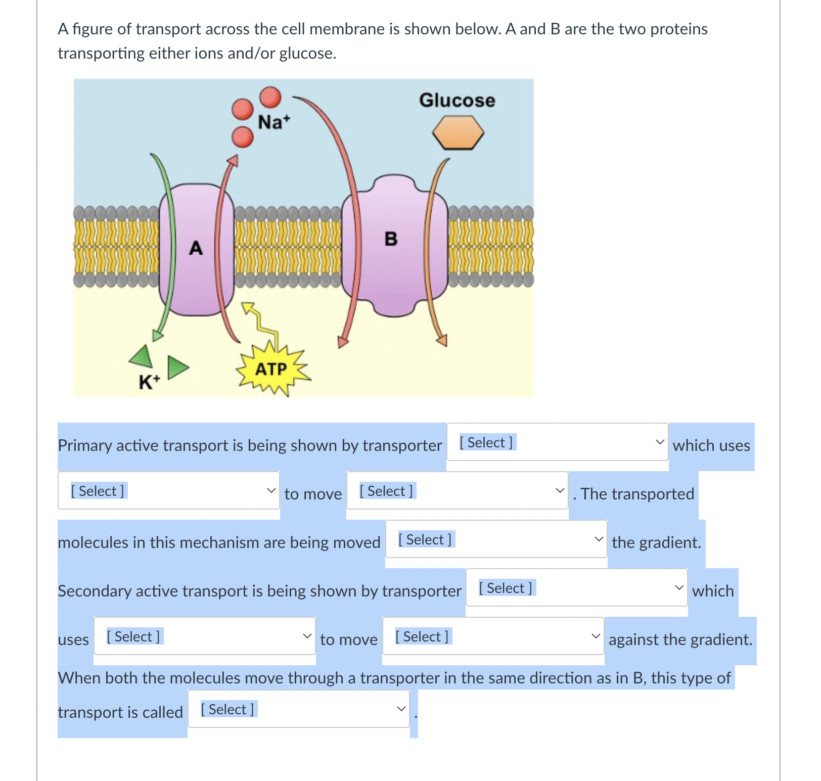 Solved A figure of transport across the cell membrane is | Chegg.com