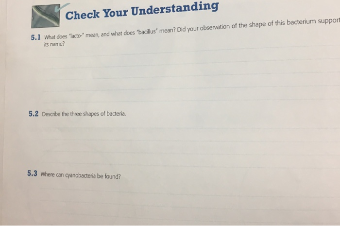 Solved Check Your Understanding 5.1 What does "lacto-" mean, | Chegg.com