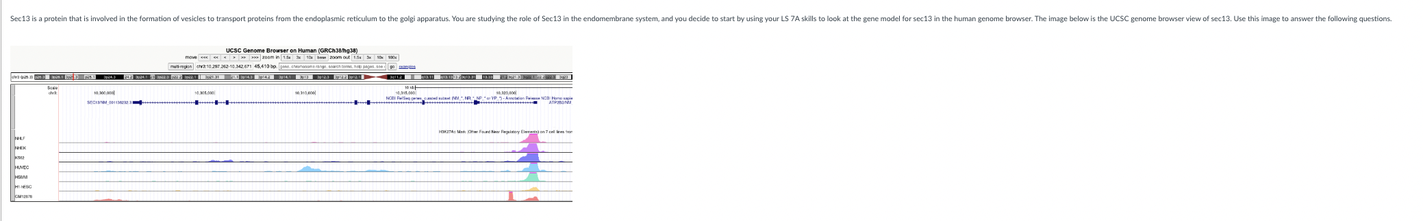 Question 25 How many introns does the sec13 gene | Chegg.com