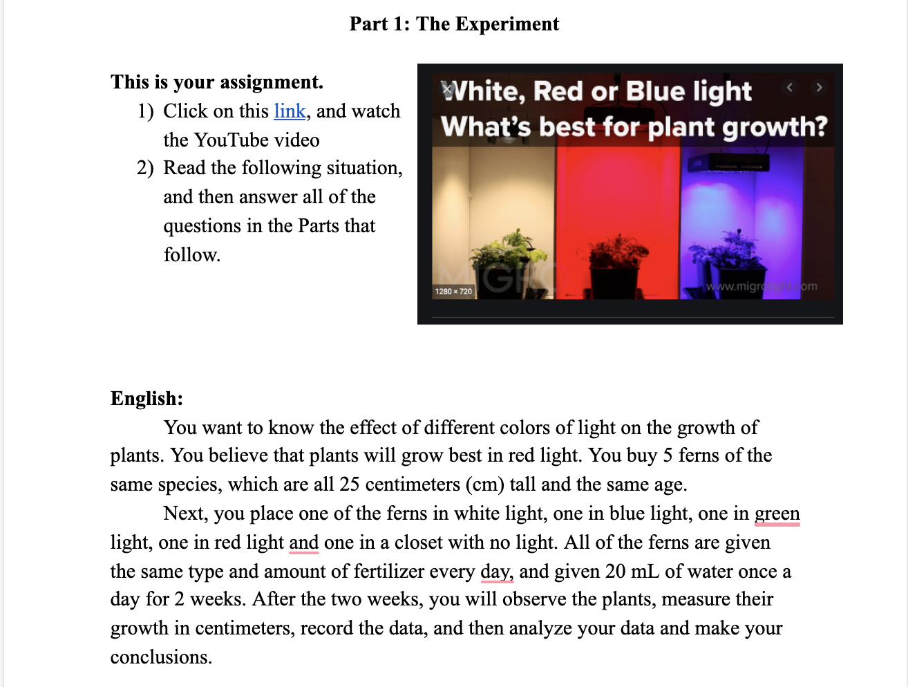 plant growth under different colors of light experiment