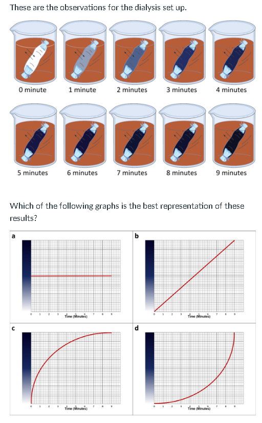 Solved These Are The Observations For The Dialysis Set Up. | Chegg.com