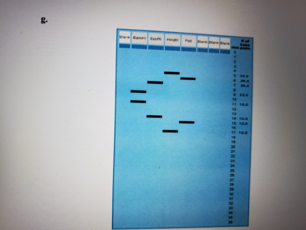 Solved 6. Construct A Restriction Map For Each Of The | Chegg.com