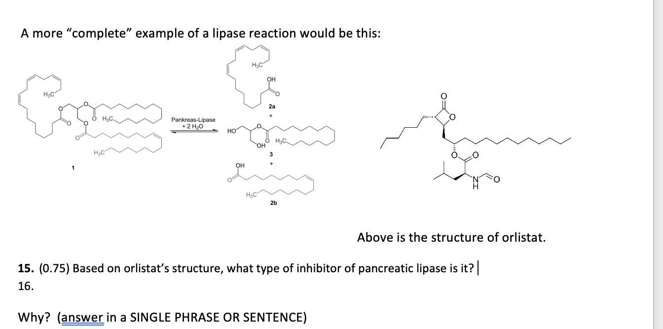 Solved A more example of a lipase reaction would