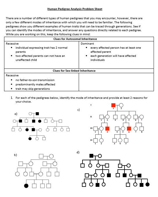 solved-human-pedigree-analysis-problem-sheet-there-are-a-chegg