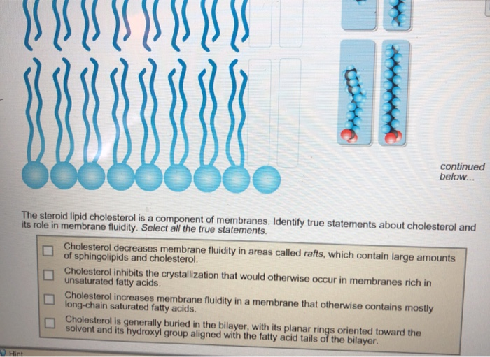 Solved Map The image below shows a lipid bilayer, with the
