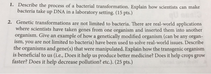 Solved 1. Describe the process of a bacterial | Chegg.com