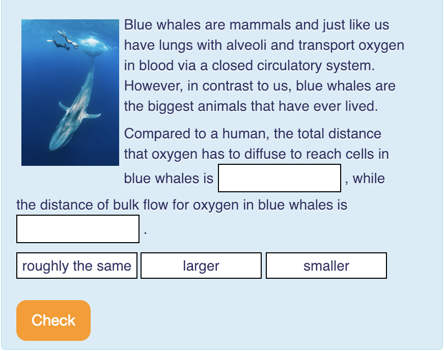 Solved Blue whales are mammals and just like us have lungs | Chegg.com