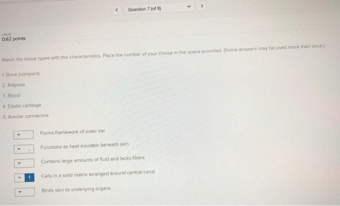 Solved Question 7 (of 8) value 062 points Match the tissue | Chegg.com
