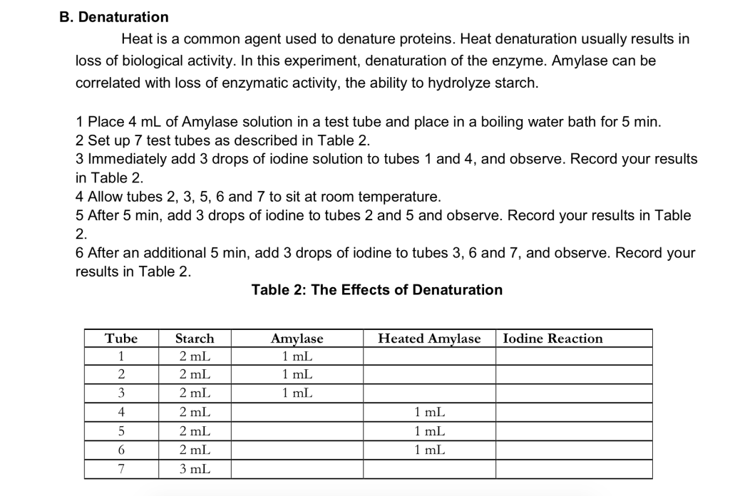 heat denaturation of enzymes experiment