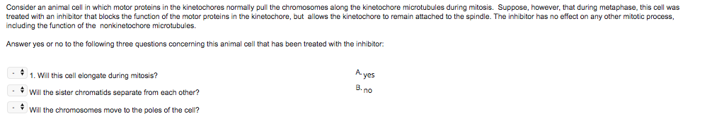 solved-consider-an-animal-cell-in-which-motor-proteins-in-chegg