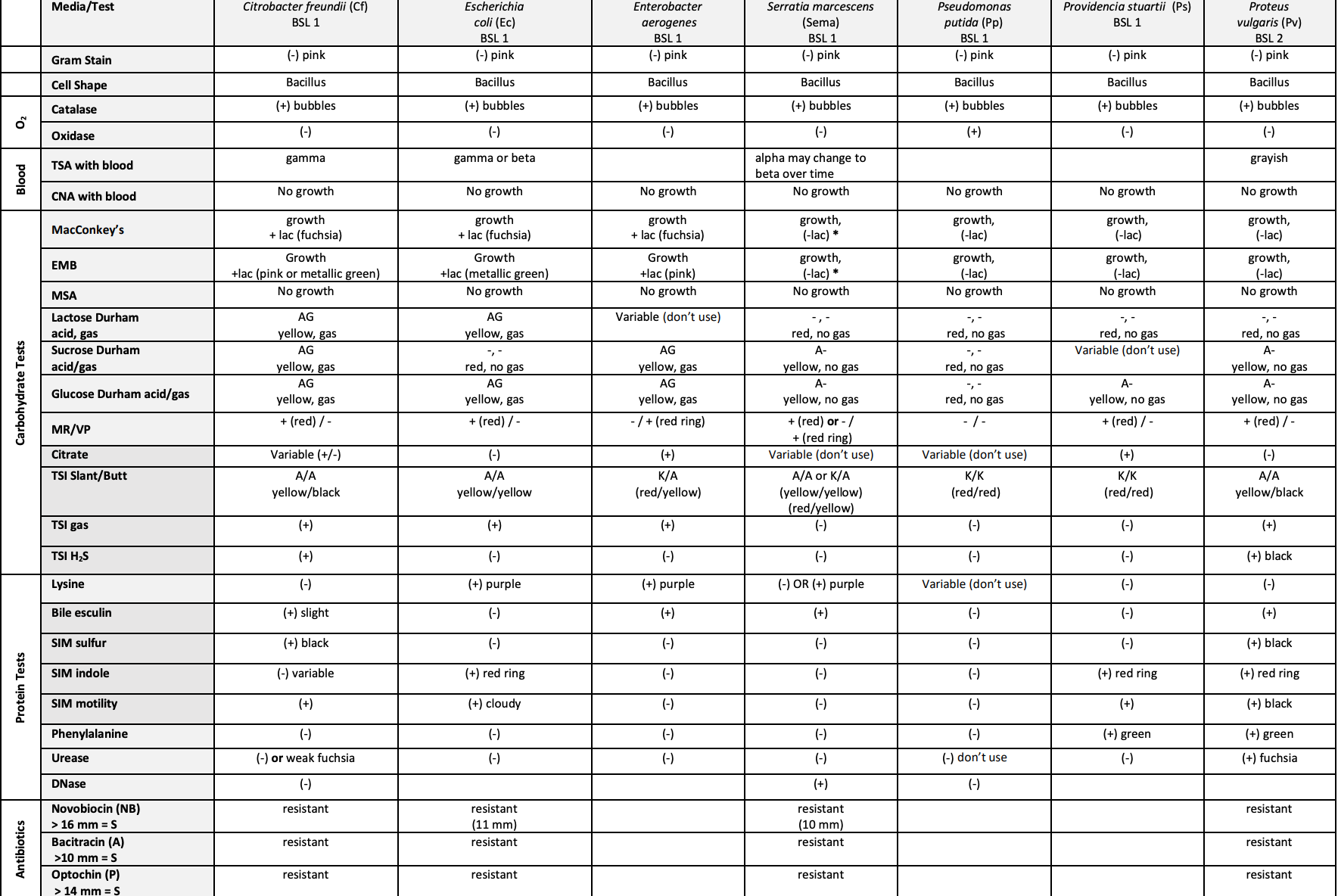 Solved Create a flow chart to logically organize all of the | Chegg.com