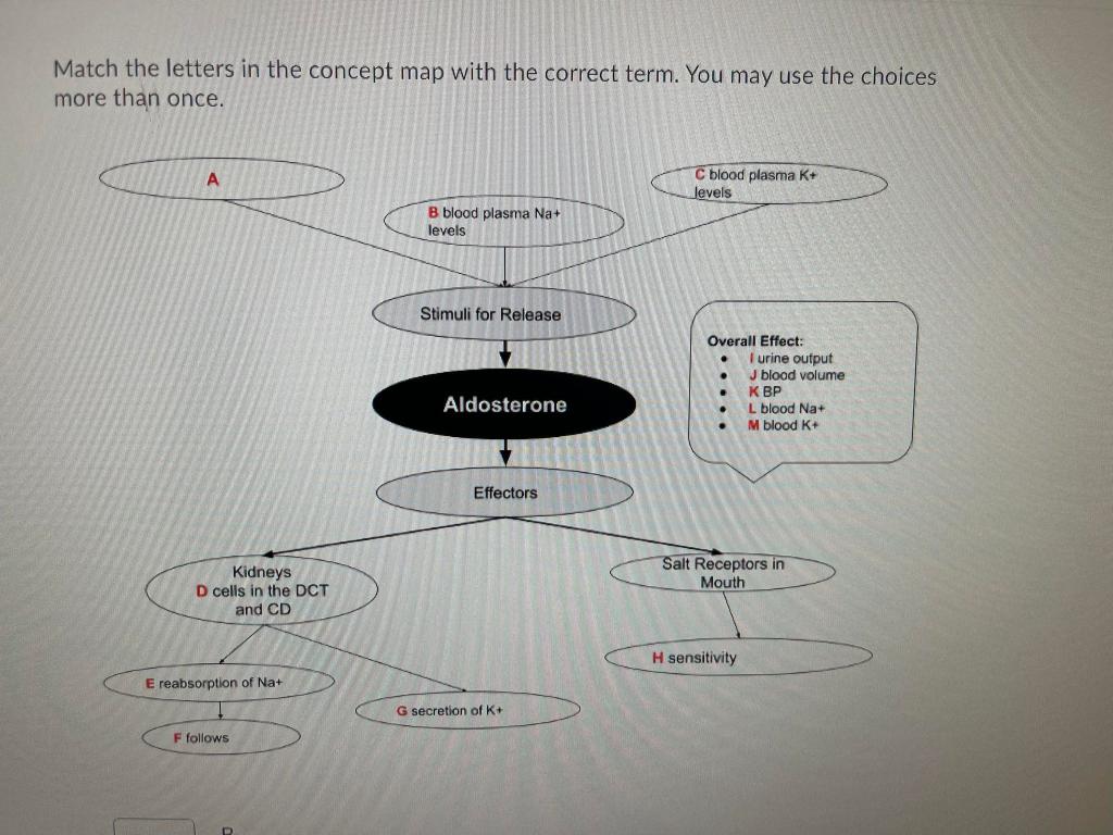 Solved Match the letter in the concept map with correct | Chegg.com