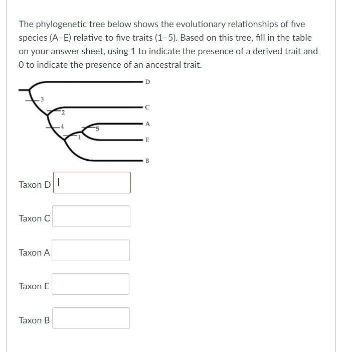 Solved The phylogenetic tree below shows the evolutionary | Chegg.com