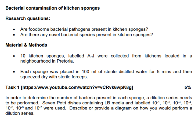 Kitchen Sponges Can Have More Bacteria Than Lab Petri Dishes, Researchers  Say 