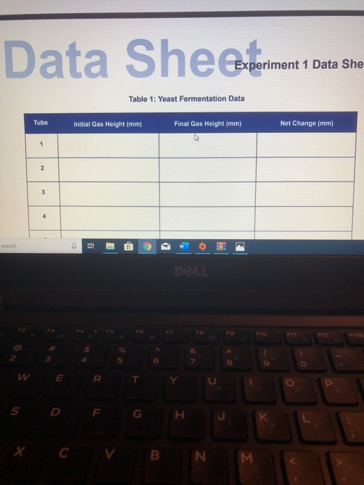 Data Sheet Experiment 1 Data She Table 1: Yeast | Chegg.com