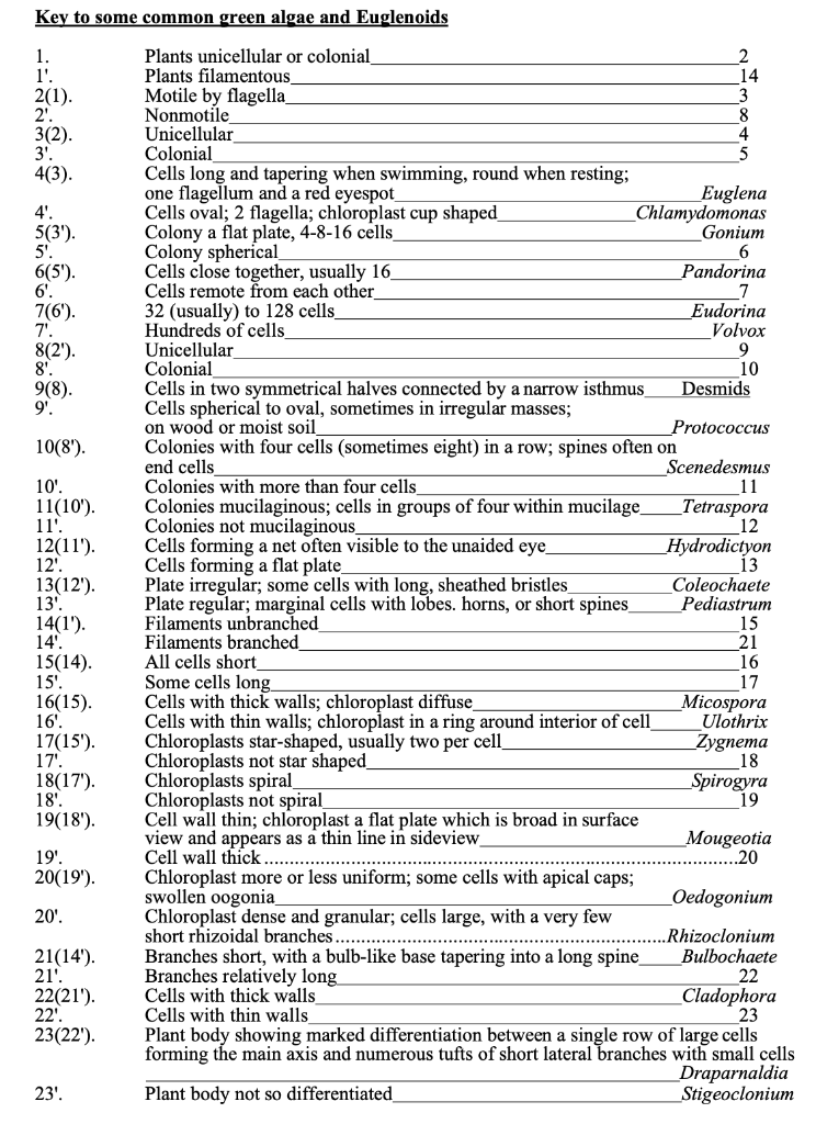 Solved Identify the following microscopic algae Use this | Chegg.com