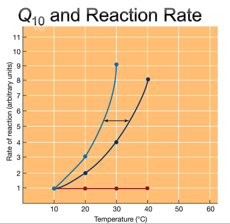 Solved Q10 and Reaction Rate | Chegg.com