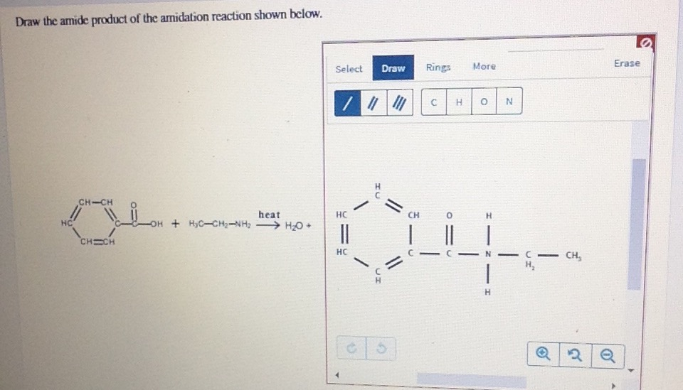 Solved Draw The Amide Product Of The Amidation Reaction | Chegg.com