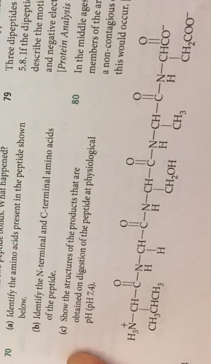 Solved 70 79 What happened? (a) Identify the amino acids | Chegg.com