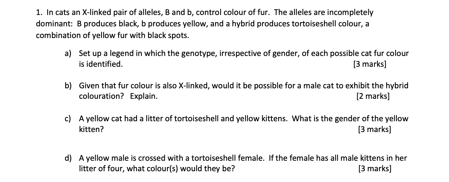 Solved 1. In cats an X-linked pair of alleles, B and b, | Chegg.com