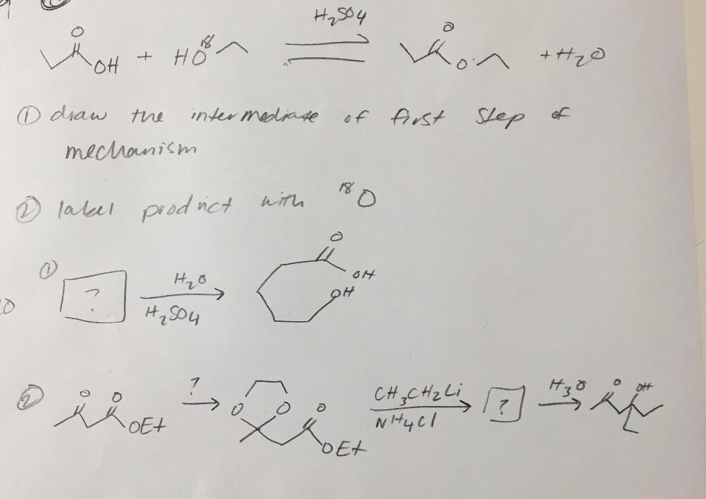 Solved hot + Hon ion +H2O of first Step o draw the | Chegg.com