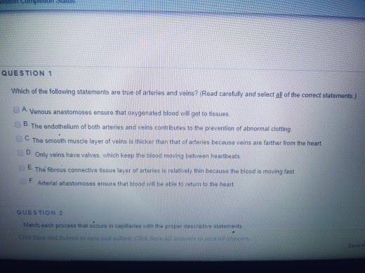 Solved QUESTION 1 Which of the following statements are true | Chegg.com - Which Of The Following Is True Of Veins