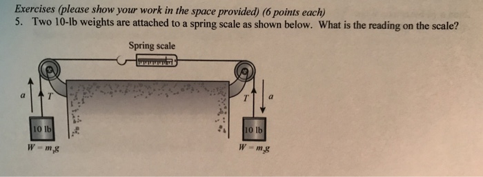 Two 10 Lb Weights Are Attached To A Spring Scale