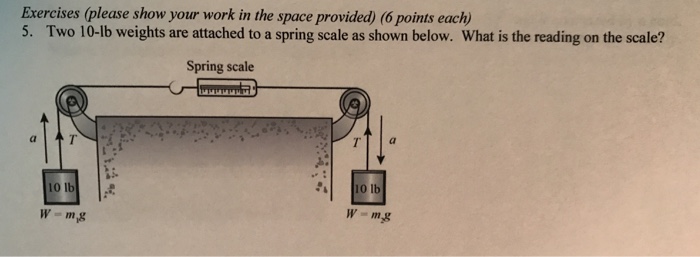 Solved Two 10 lb Weights Are Attached To A Spring Scale As Chegg