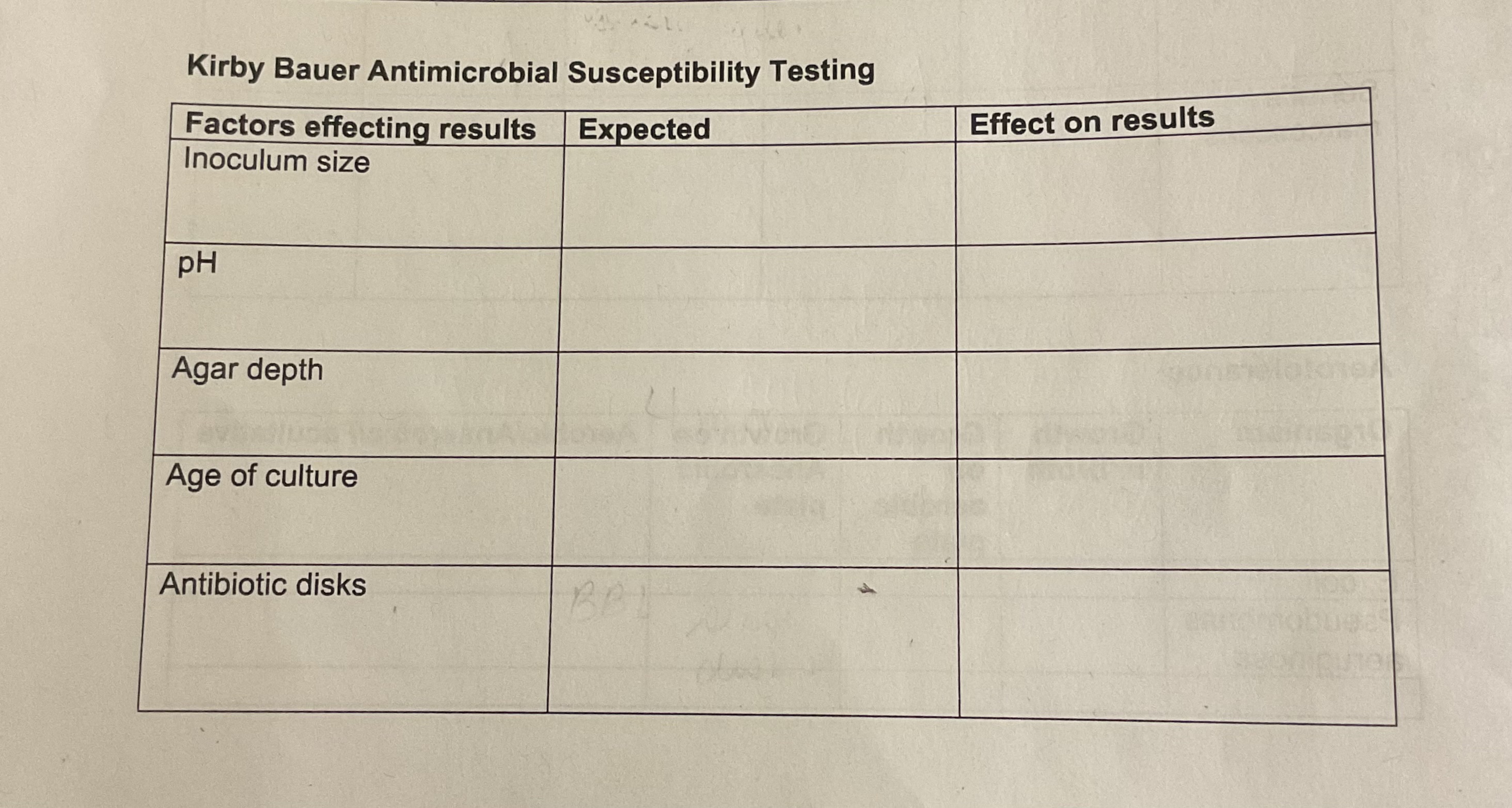 Solved Kirby Bauer Antimicrobial Susceptibility Testing | Chegg.com