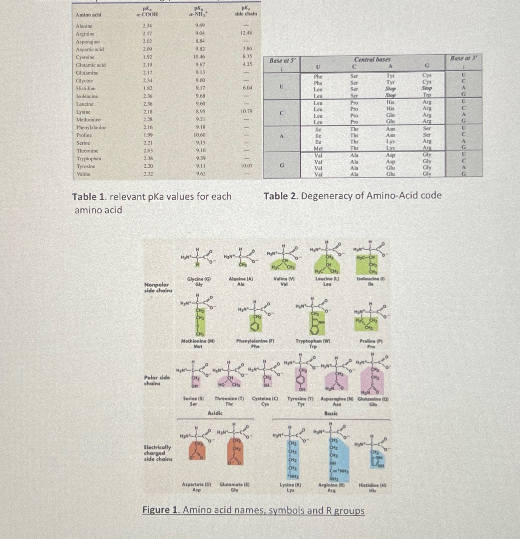 Solved A) ﻿Refer to above Figure 1 ﻿on the first page. | Chegg.com