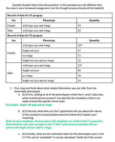 Example Student Data (note the questions in this | Chegg.com