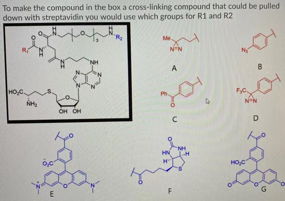 Solved Biochem Question, Please Explain As Well A) A And | Chegg.com