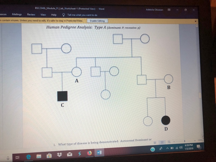 Solved BSC2346L Module 01 Lab,Worksheet-1 (Protected View) | Chegg.com