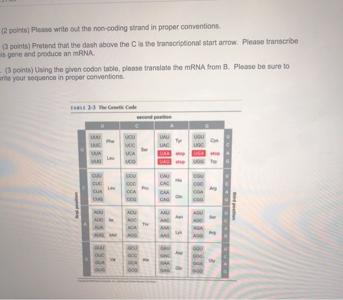 Solved Question 20(8 points) (8 points total) You are given | Chegg.com