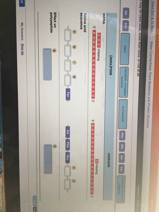 Solved (Gene Exp) & 15 (Reg... Make Connections Point