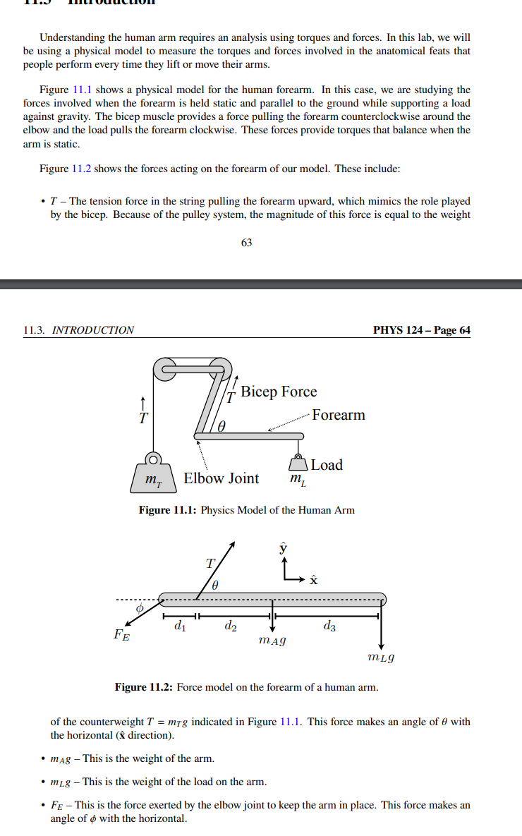 Solved Understanding the human arm requires an analysis