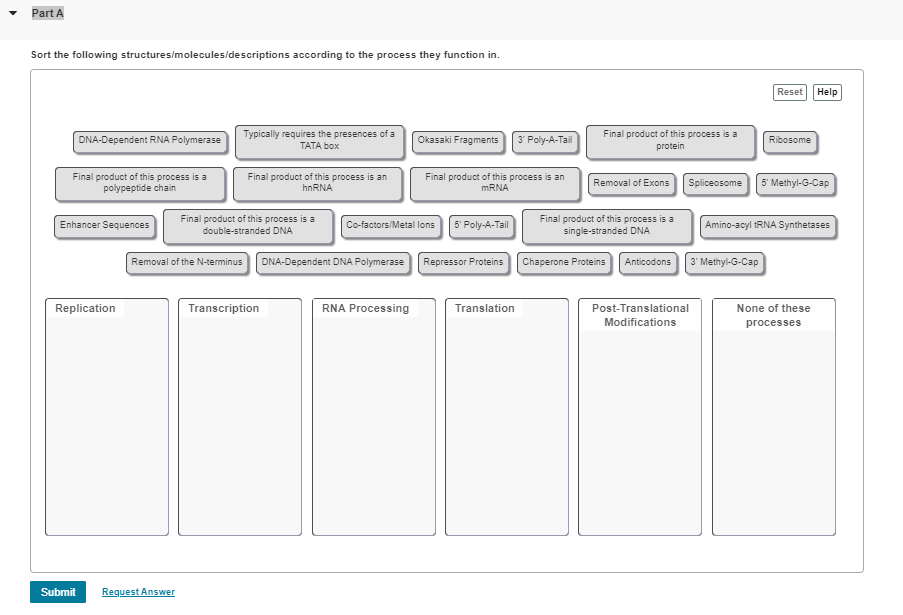 - Part A
Sort the following structures/molecules/descriptions according to the process they function in.
Translation
Post-Tra