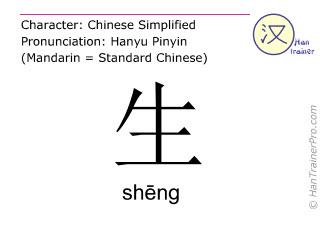 Chinese Characters 1 Flashcards | Chegg.com