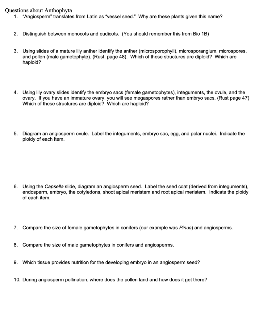 Solved Questions about Anthophyta 1. "Angiosperm" translates