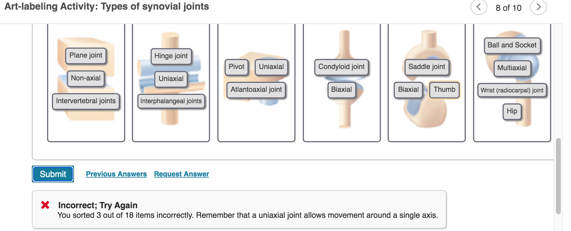 Art-labeling Activity: Types of synovial joints
Plane joint
Hinge joint
Pivot
Uniaxial
Condyloid joint
Non-axial
Uniaxial
Atl